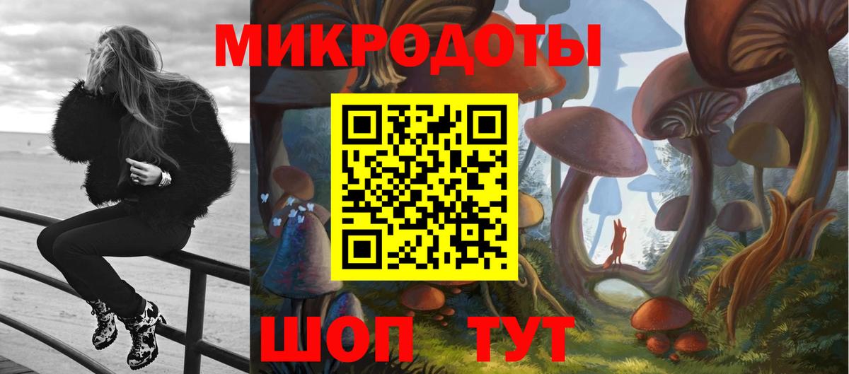 Псилоцибиновые грибы мухоморы Нарьян-Мар